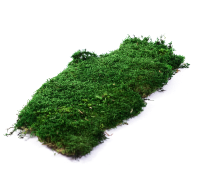 Главная страница
